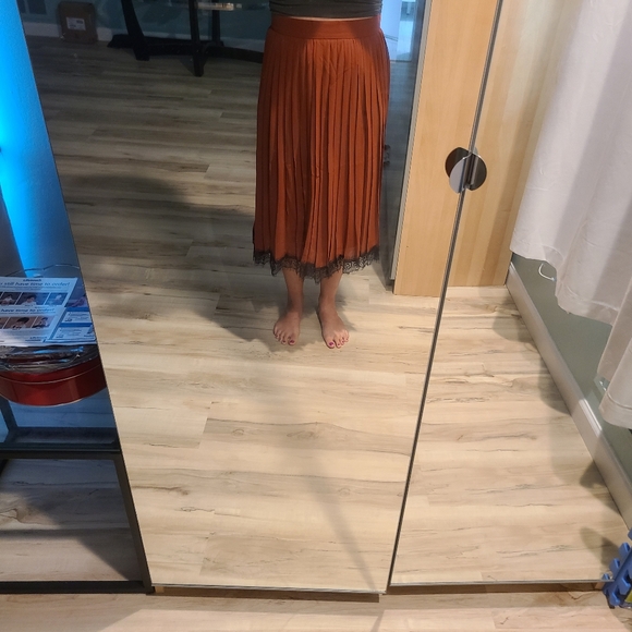 NWT lace trim pleated midi skirt - Picture 6 of 7